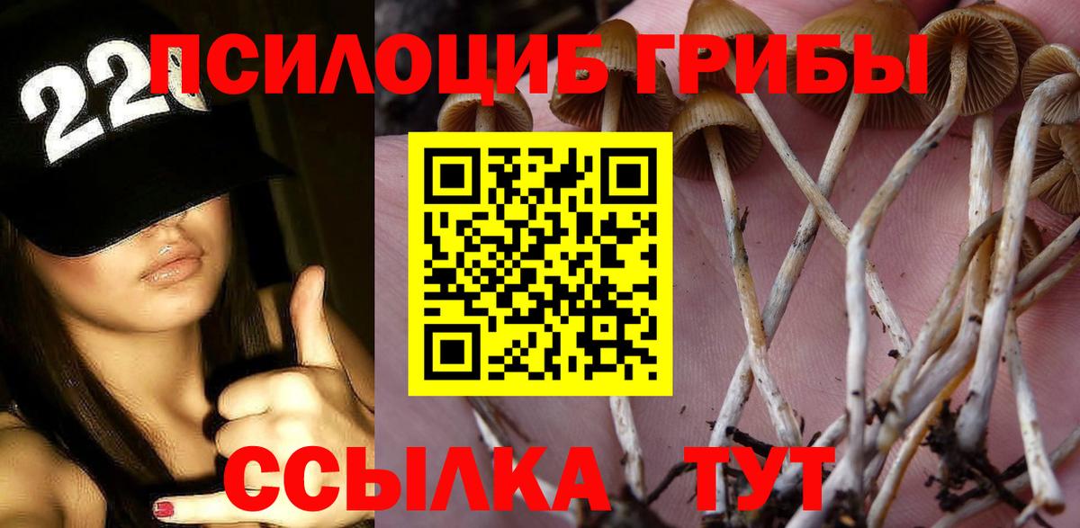 Псилоцибиновые грибы Cubensis Железногорск